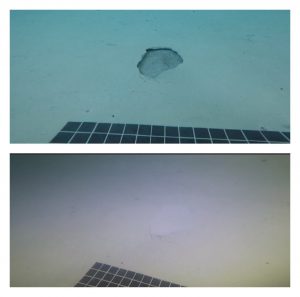 Swimming Pool Repair Companies